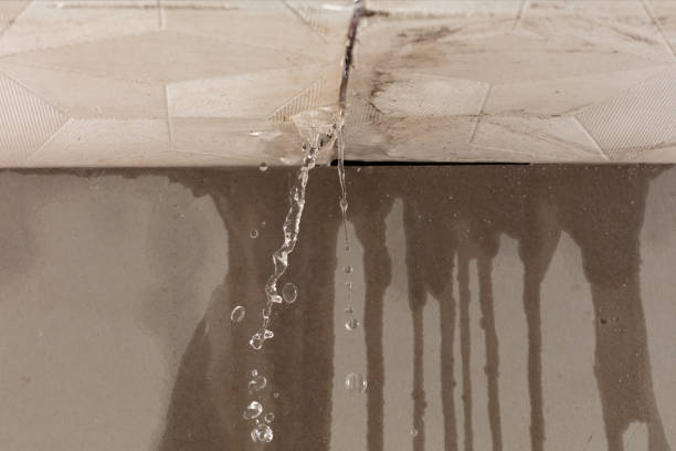 Professional Sewage Cleanup technician working in Alplaus, NY